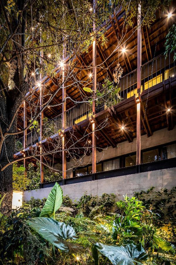 Ana Polanco Apartments Ciudad de México Exterior foto